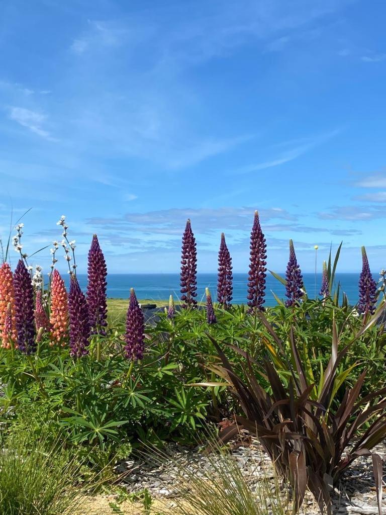 “The Cliffs” Humpridge View Motels Tuatapere 外观 照片